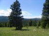 Lot #40 West
