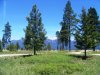 Lot #40 East