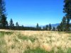 Lot #40 North