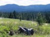 Lot #40 South South West
