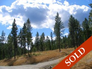 Lot #6