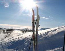 Skiing and Winter Sports